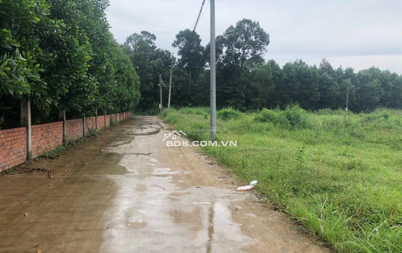 Bán đất Mặt tiền đường ĐT 821, tại xã Lộc Giang, Đức Hòa, tỉnh Long An.